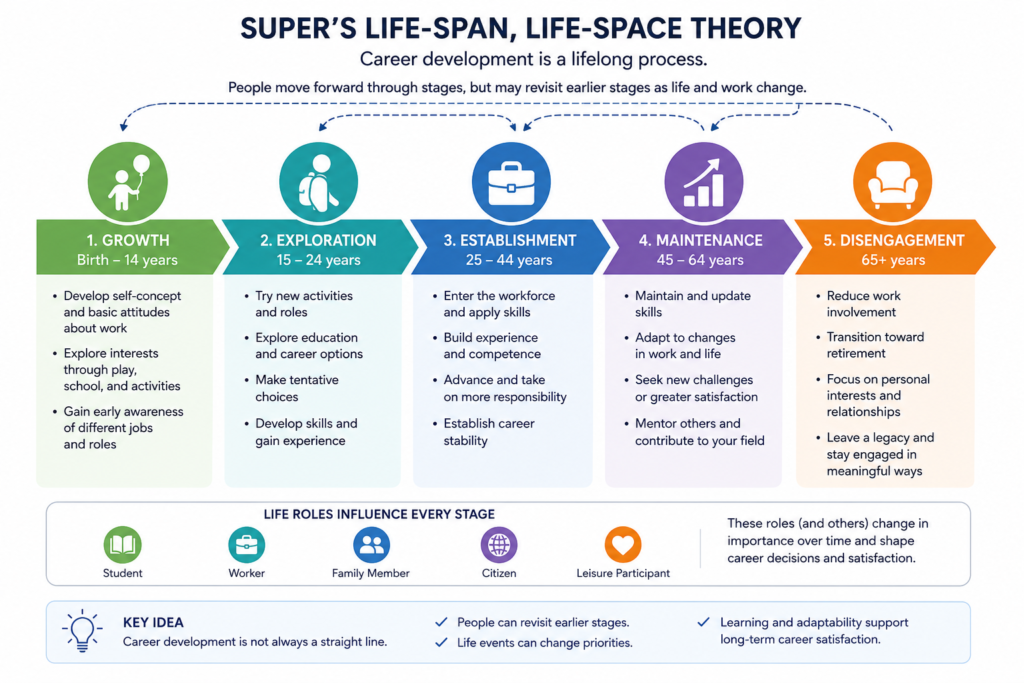 Super career development stages across a person’s lifespan